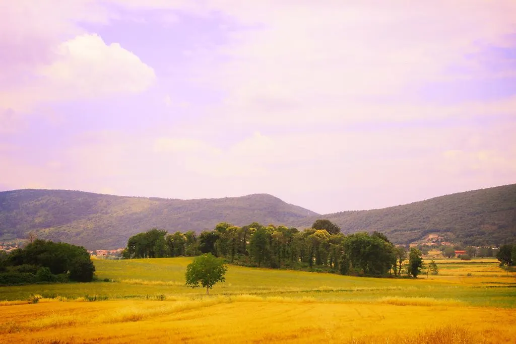 Casa Di Campagna In Toscana Guest House Sovicille