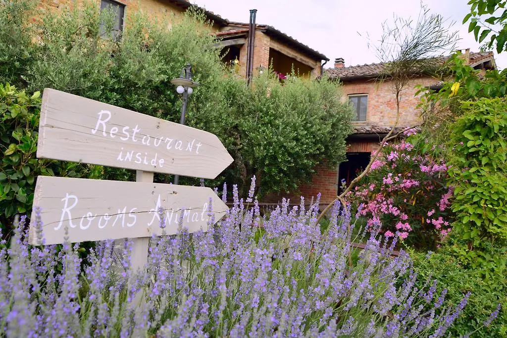 Casa Di Campagna In Toscana Guest House Sovicille