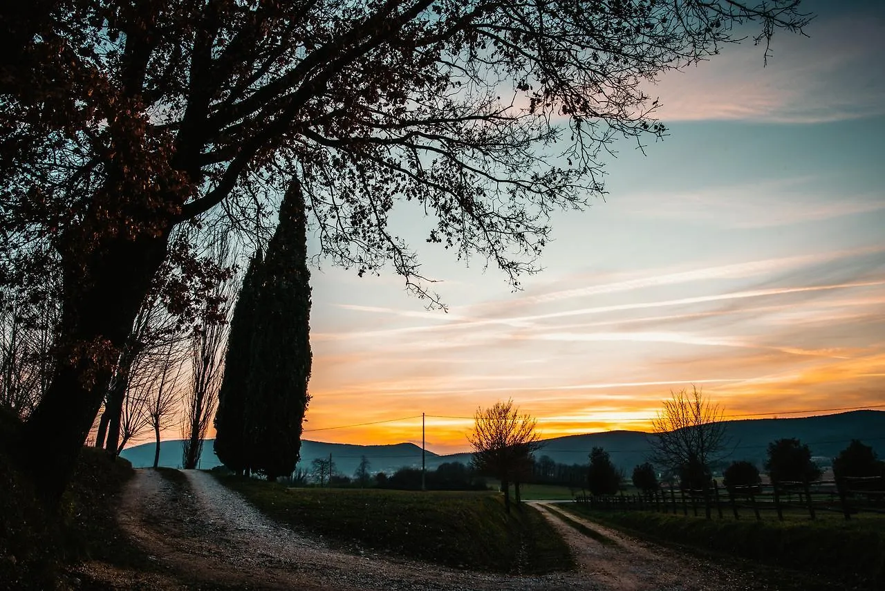 Casa Di Campagna In Toscana Guest House Sovicille